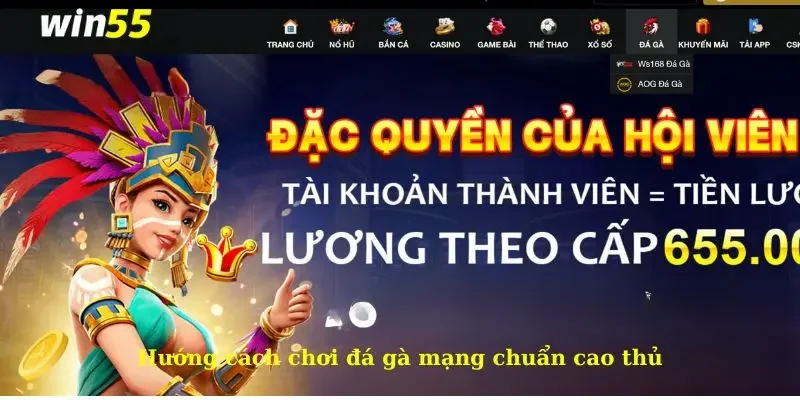 Cách Chơi Đá Gà Mạng Bách Chiến Bách Thắng 2 Hướng cách chơi đá gà mạng chuẩn cao thủ