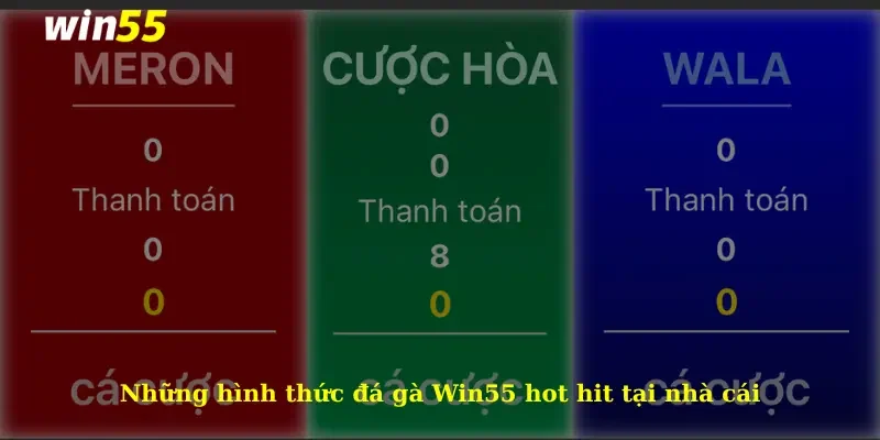 Những hình thức đá gà Win55 hot hit tại nhà cái